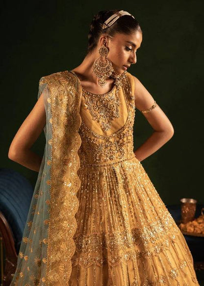 Diara Couture | Onora Wedding Festive | RYEAN - WC-2-05 - Pakistani Designer Dress - by Diara Couture | Type: Ladies Clothes - 100% Original at Saira Sultan