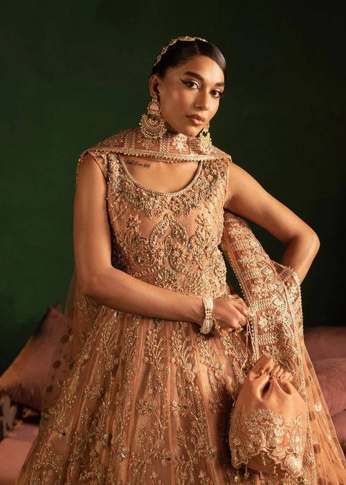 Diara Couture | Onora Wedding Festive | AYLA - WC-2-06 - Pakistani Designer Dress - by Diara Couture | Type: Ladies Clothes - 100% Original at Saira Sultan