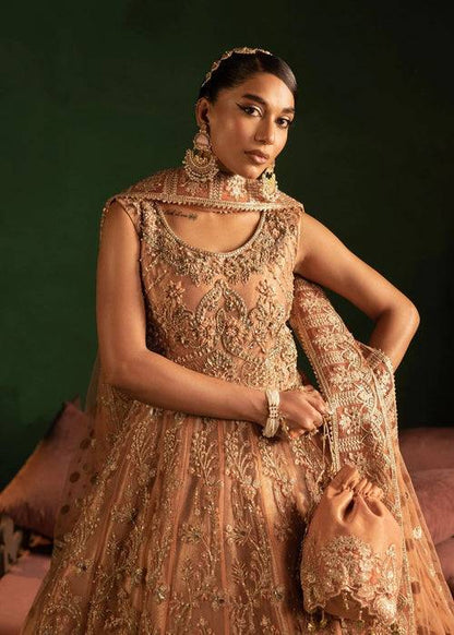 Diara Couture | Onora Wedding Festive | AYLA - WC-2-06 - Pakistani Designer Dress - by Diara Couture | Type: Ladies Clothes - 100% Original at Saira Sultan