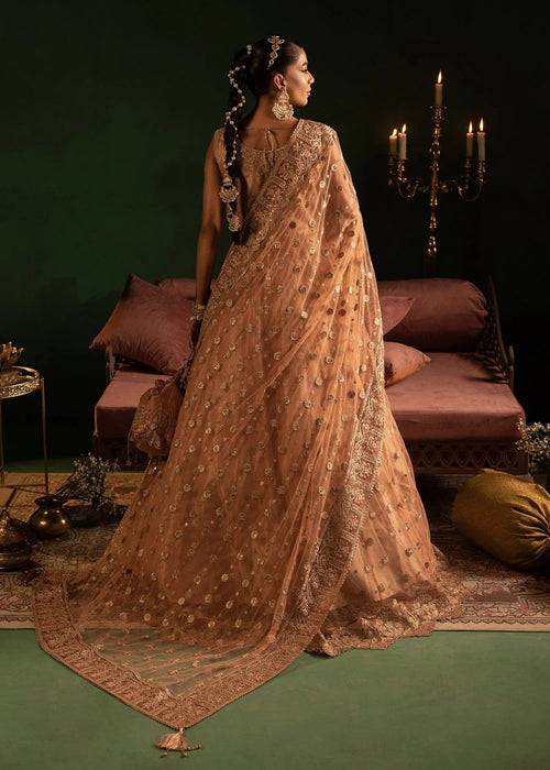 Diara Couture | Onora Wedding Festive | AYLA - WC-2-06 - Pakistani Designer Dress - by Diara Couture | Type: Ladies Clothes - 100% Original at Saira Sultan