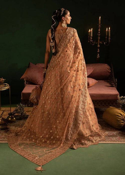 Diara Couture | Onora Wedding Festive | AYLA - WC-2-06 - Pakistani Designer Dress - by Diara Couture | Type: Ladies Clothes - 100% Original at Saira Sultan