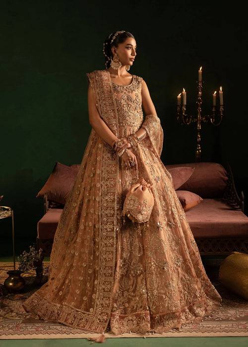 Diara Couture | Onora Wedding Festive | AYLA - WC-2-06 - Pakistani Designer Dress - by Diara Couture | Type: Ladies Clothes - 100% Original at Saira Sultan