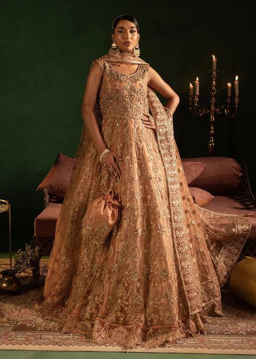 Diara Couture | Onora Wedding Festive | AYLA - WC-2-06 - Pakistani Designer Dress - by Diara Couture | Type: Ladies Clothes - 100% Original at Saira Sultan