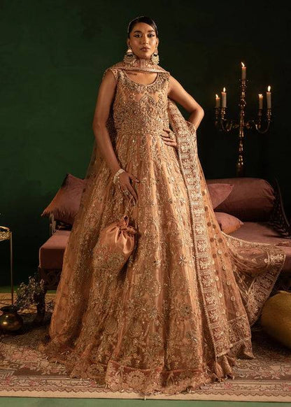 Diara Couture | Onora Wedding Festive | AYLA - WC-2-06 - Pakistani Designer Dress - by Diara Couture | Type: Ladies Clothes - 100% Original at Saira Sultan