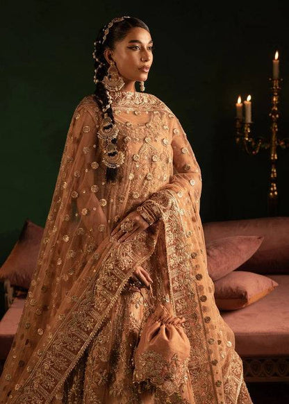 Diara Couture | Onora Wedding Festive | AYLA - WC-2-06 - Pakistani Designer Dress - by Diara Couture | Type: Ladies Clothes - 100% Original at Saira Sultan