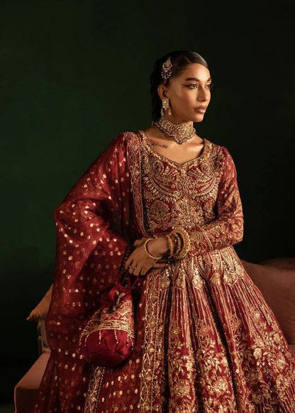 Diara Couture | Onora Wedding Festive | AELIN - WC-2-03 - Pakistani Designer Dress - by Diara Couture | Type: Ladies Clothes - 100% Original at Saira Sultan