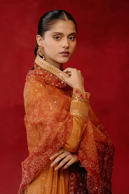 Cross Stitch | Luxe Atelier 24 | Rustic Heaven - Pakistani Designer Dress - by Cross Stitch | Type: Luxury - 100% Original at Saira Sultan