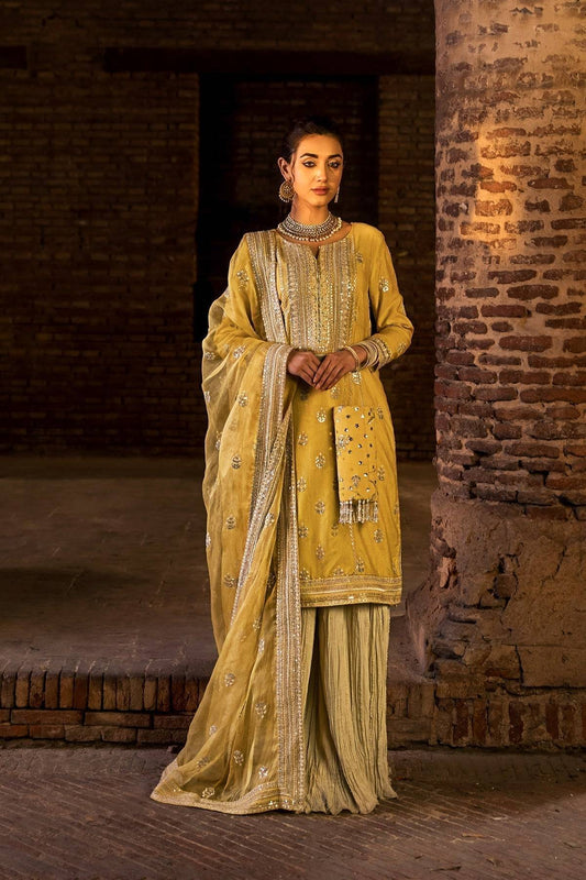 Erum Khan | Shezadian Luxe Formals | DIL ARAA - Pakistani Designer Dress - by Erum Khan | Type: Formal - 100% Original at Saira Sultan