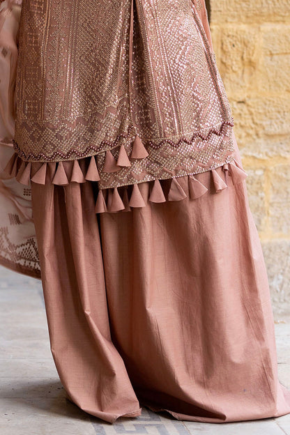 Gul Ahmed | Festive Eid 25 | FE-52132 M Rosy Brown Chiffon