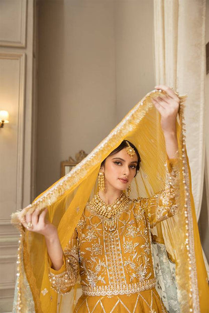 House of Nawab | Luxury Formals | HAZWA B - Pakistani Designer Dress - by House of Nawab | Type: Formal - 100% Original at Saira Sultan