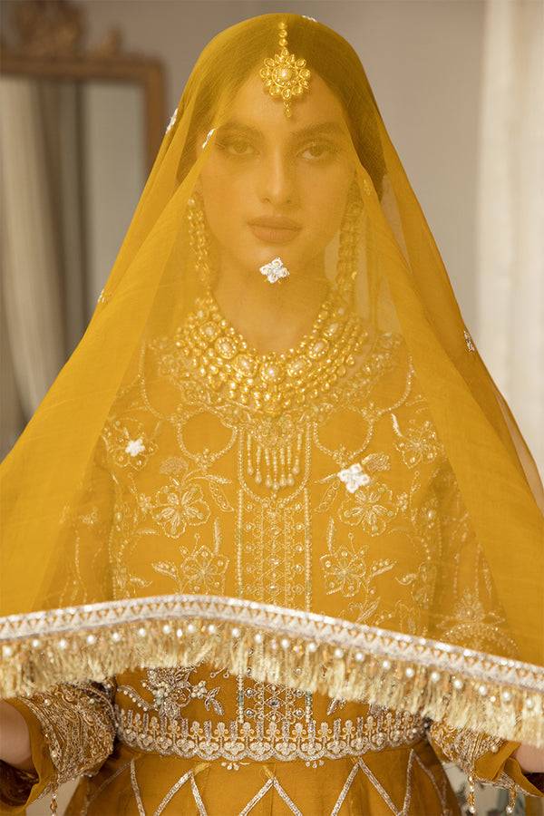 House of Nawab | Luxury Formals | HAZWA B - Pakistani Designer Dress - by House of Nawab | Type: Formal - 100% Original at Saira Sultan