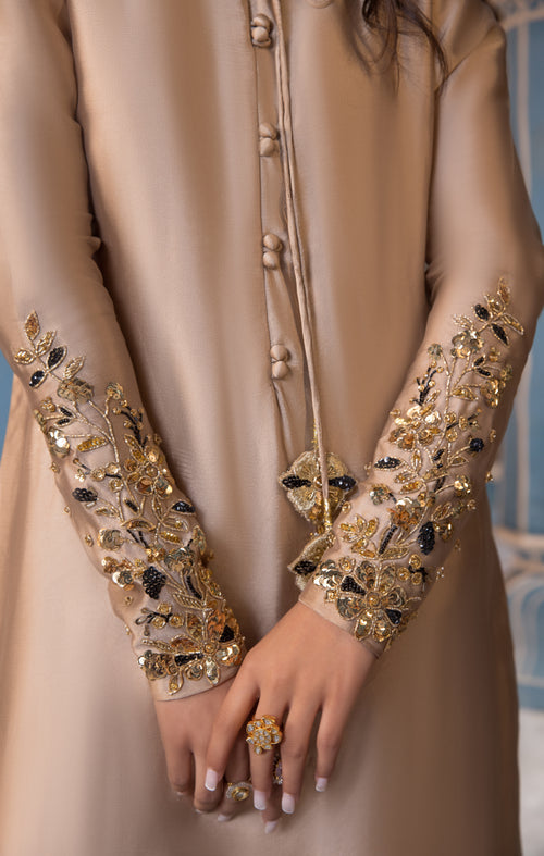 Maya | Mehr o Mah Formals | MAELIS M Light Brown Tissue Silk