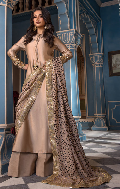 Maya | Mehr o Mah Formals | MAELIS S Light Brown Tissue Silk