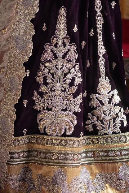 Mushq | Niloufer Velvet Edit 23 | Shirin - Pakistani Designer Dress - by Mushq | Type: Bridal - 100% Original at Saira Sultan