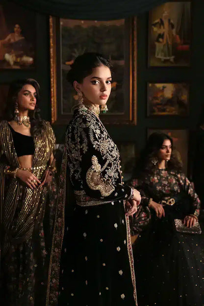 Mushq | Niloufer Velvet Edit 23 | Pari - Pakistani Designer Dress - by Mushq | Type: Bridal - 100% Original at Saira Sultan