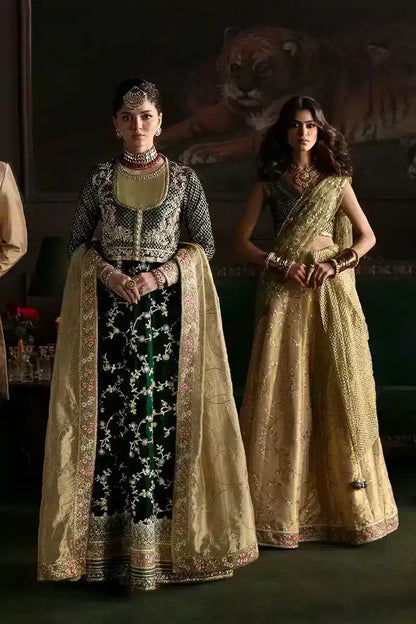 Mushq | Niloufer Velvet Edit 23 | Shahinaz - Pakistani Designer Dress - by Mushq | Type: Bridal - 100% Original at Saira Sultan