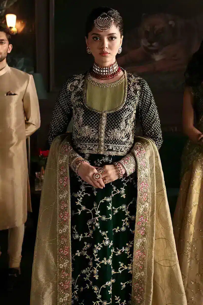 Mushq | Niloufer Velvet Edit 23 | Shahinaz - Pakistani Designer Dress - by Mushq | Type: Bridal - 100% Original at Saira Sultan