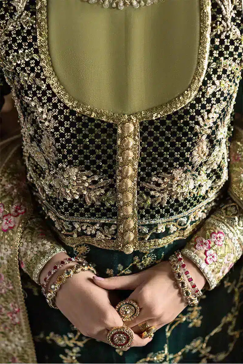 Mushq | Niloufer Velvet Edit 23 | Shahinaz - Pakistani Designer Dress - by Mushq | Type: Bridal - 100% Original at Saira Sultan