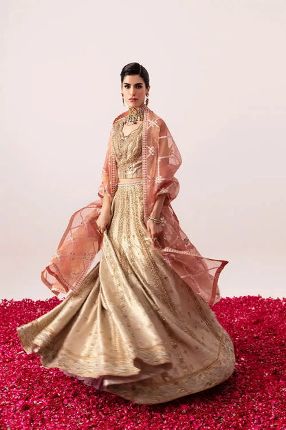 Mysie by Tahira | Festive Formals 24 | Amara - Pakistani Designer Dress - by Mysie by Tahira | Type: Bridal - 100% Original at Saira Sultan