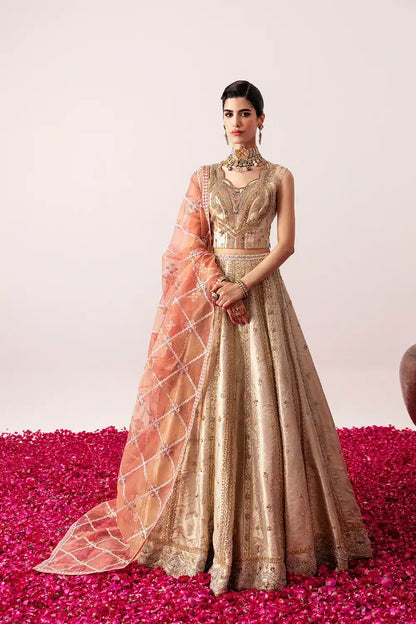 Mysie by Tahira | Festive Formals 24 | Amara - Pakistani Designer Dress - by Mysie by Tahira | Type: Bridal - 100% Original at Saira Sultan