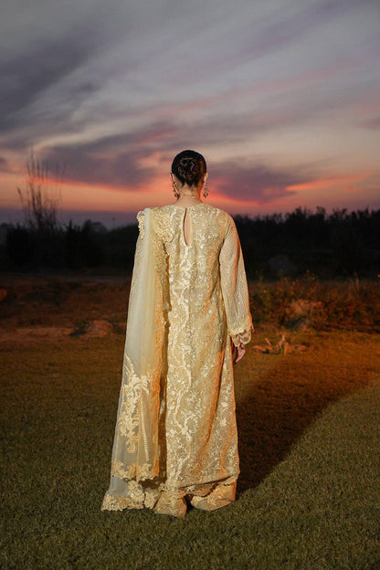 Nilofer Shahid | Verve Summer 24 | Irina  Verve SS 24 - Pakistani Designer Dress - by Nilofer Shahid | Type: Formal - 100% Original at Saira Sultan