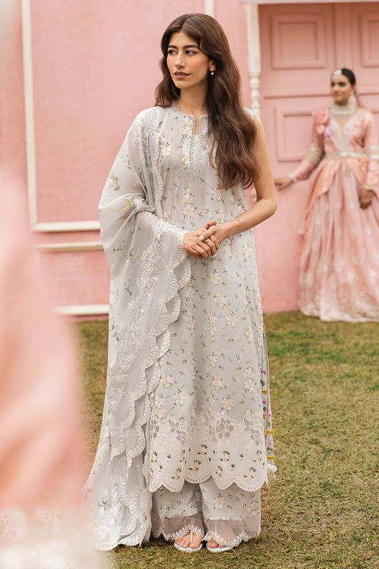 Cross Stitch | Premium Lawn 25 | GRAY FROST XS Light Gray Lawn