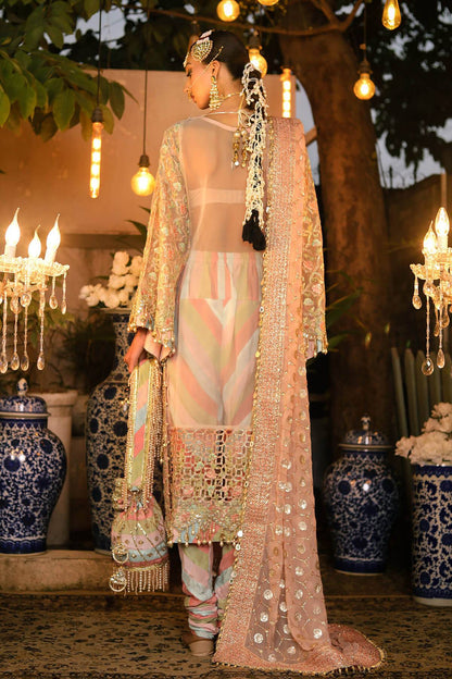 Raeesa Premium | Wajadan Wedding Formals | WD-6 Powder Peach - Pakistani Designer Dress - by Raeesa Premium | Type: Bridal - 100% Original at Saira Sultan