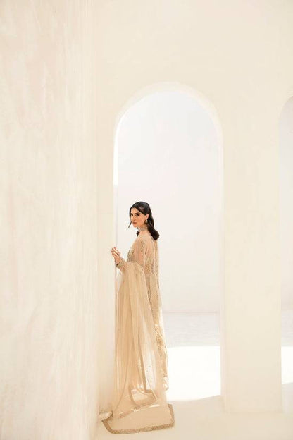 Raja Salahuddin | The Wishlist | FALLON - Pakistani Designer Dress - by Raja Salahuddin | Type: Formal - 100% Original at Saira Sultan