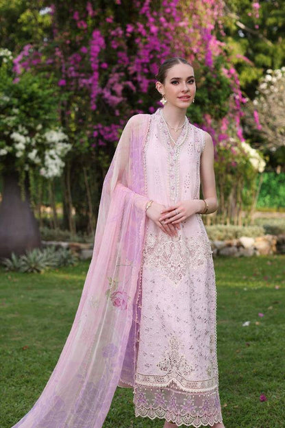 Noor by Saadia Asad | Luxury Chikankari Lawn24 | D11-A Pink Schifli - Pakistani Designer Dress - by Noor by Saadia Asad | Type: Luxury - 100% Original at Saira Sultan