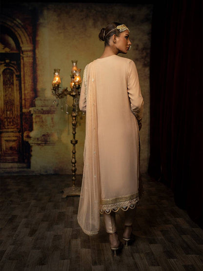 Salitex | Luxury Wear 24 | 34 - Pakistani Designer Dress - by Salitex | Type: Luxury - 100% Original at Saira Sultan