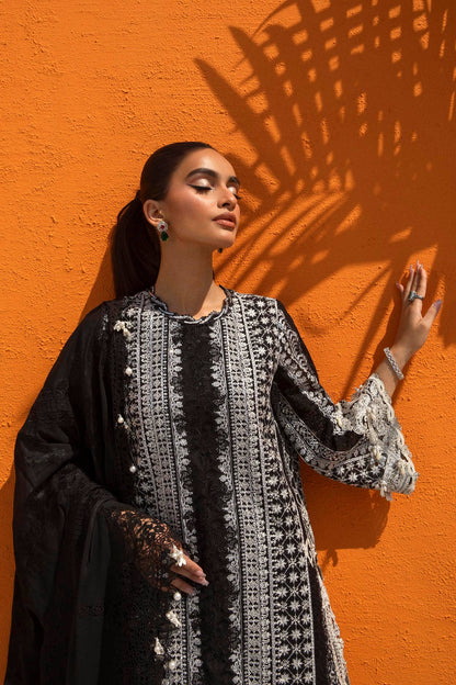 Sana Safinaz | Nura Festive 24 | N241-005-3CJ - Pakistani Designer Dress - by Sana Safinaz | Type: Formal - 100% Original at Saira Sultan