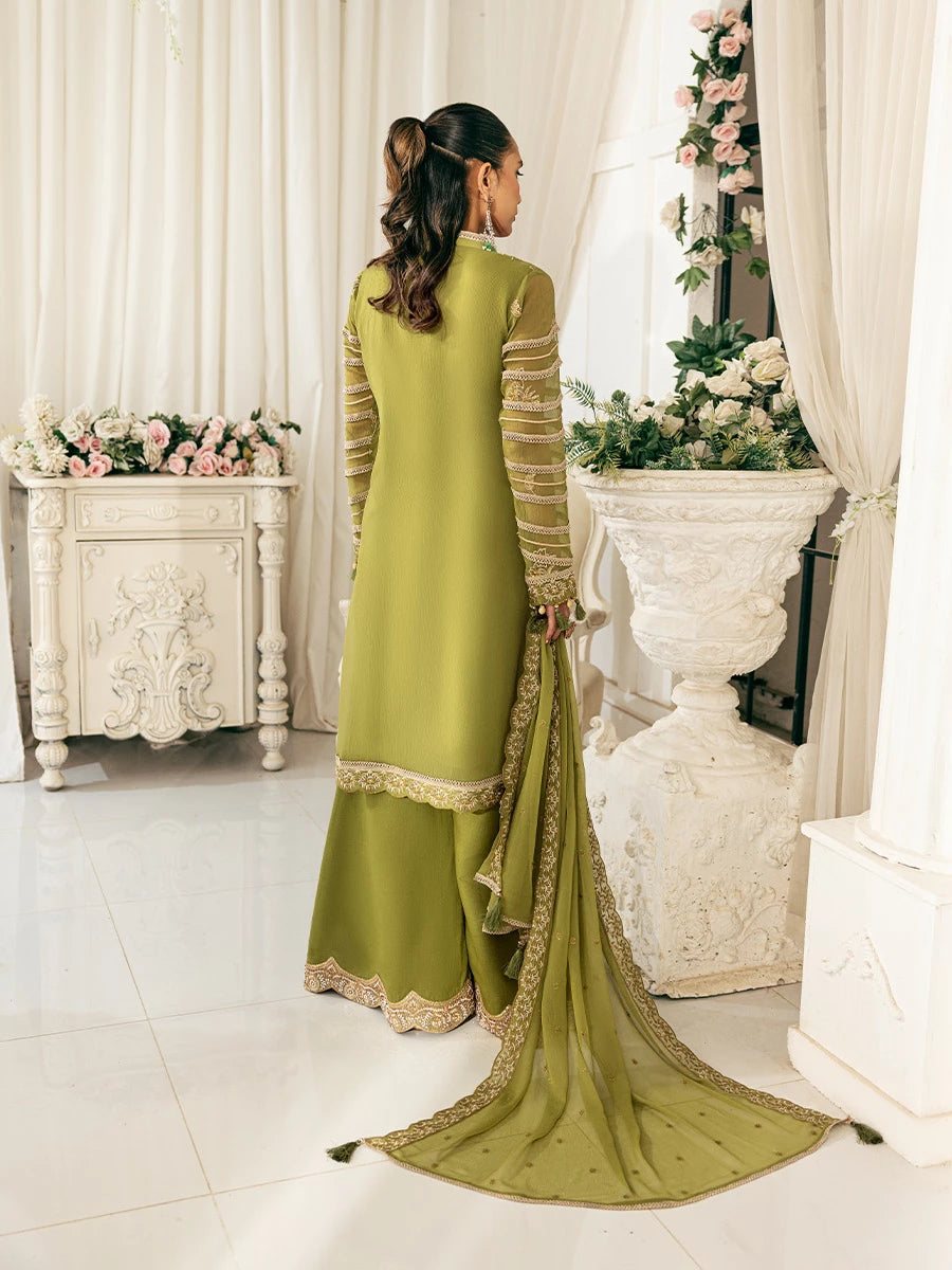 Salitex | Signature Festive Chiffon | SUNS7CH030UT S Olive Green Chiffon