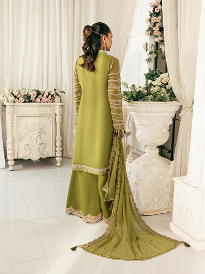 Salitex | Signature Festive Chiffon | SUNS7CH030UT S Olive Green Chiffon