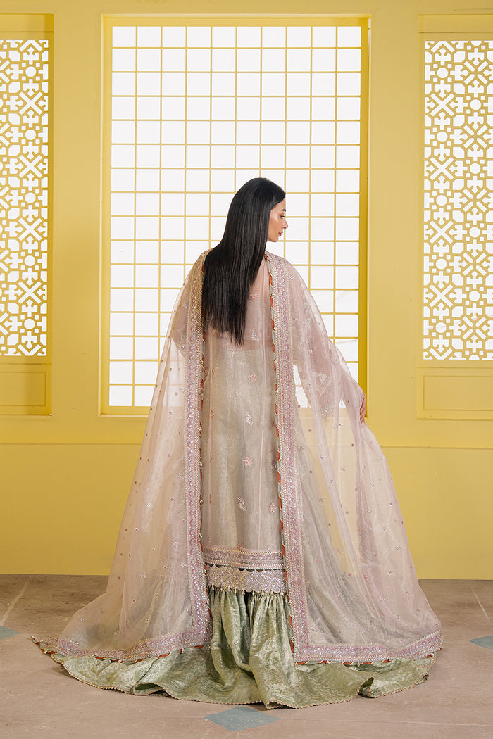 Ayzel | Solaris Wedding Formals 25 | SOLYN by Ayzel - Designer Dress - Type : Ladies Clothes - Available at Saira Sultan - 100% Original 